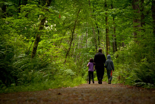 family walking in forest
